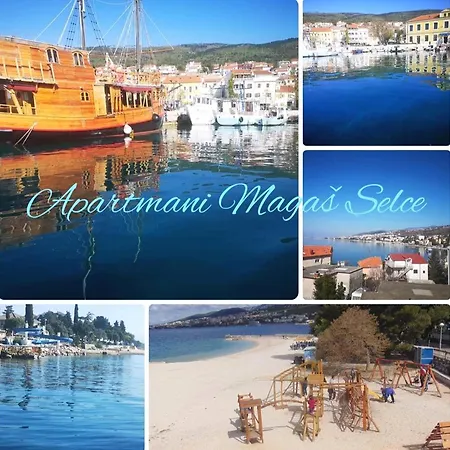 Magas * Selce
